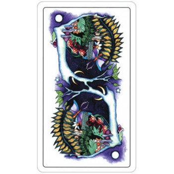 Tarot Of A Moon Garden kortos US Games Systems
